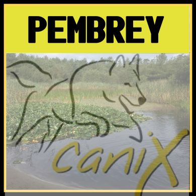 CaniX Pembrey 28/08/2022 (Sunday)